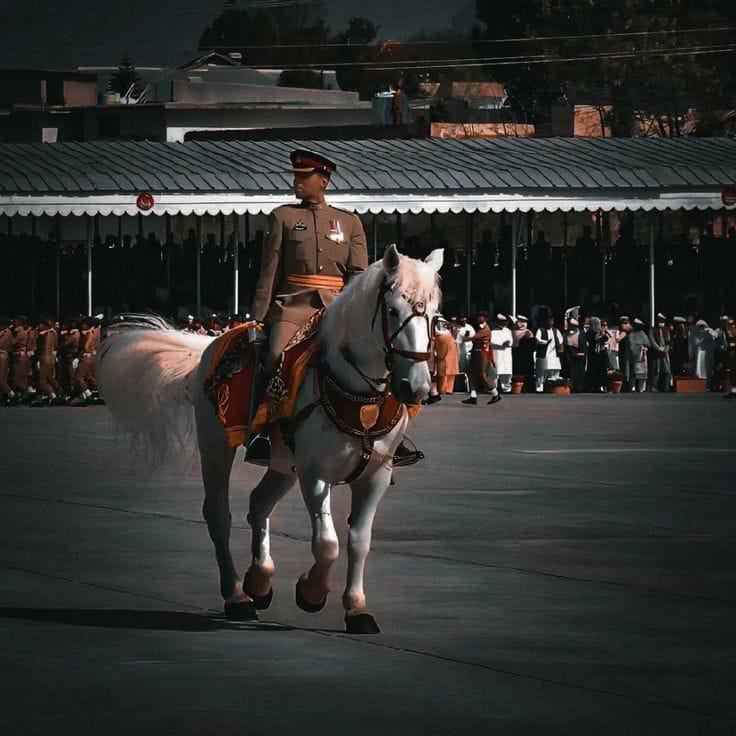 If you are preparing for the PMA Long Course initial academic test, having access to structured study material is essential for success. The Pakistan Army academic test covers multiple subjects including Islamiyat, Pakistan Studies, General Knowledge, English, and Mathematics.
PMA Long Course Important MCQs PDFs